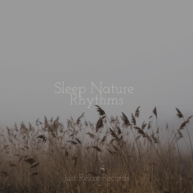 Sleep Nature Rhythms - Thunderstorm Sound Bank