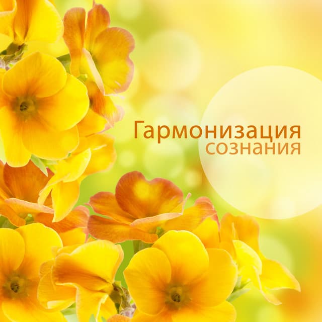 Гармонизация сознания - Serenity Music Academy