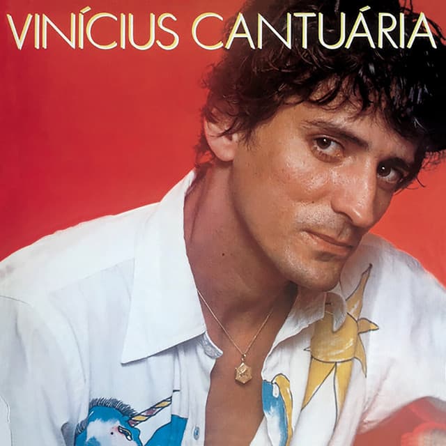 Vinícius Cantuária - Vinicius Cantuaria