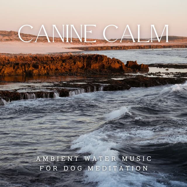 Aqua Canine Calm: Ambient Water Music for Dog Meditation - Water Meditations