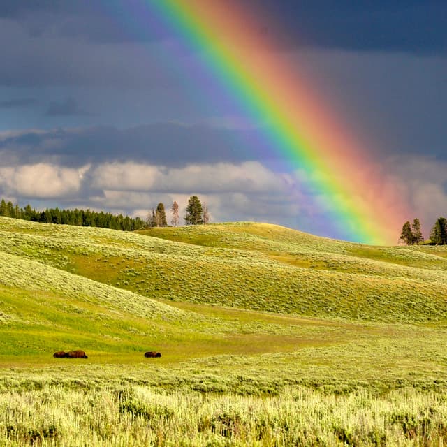 24Hr Rain: Stormy Serenity - 24H Rain Sounds