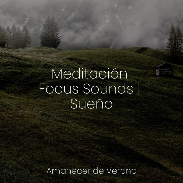 Meditación Focus Sounds | Sueño - Canción de Cuna