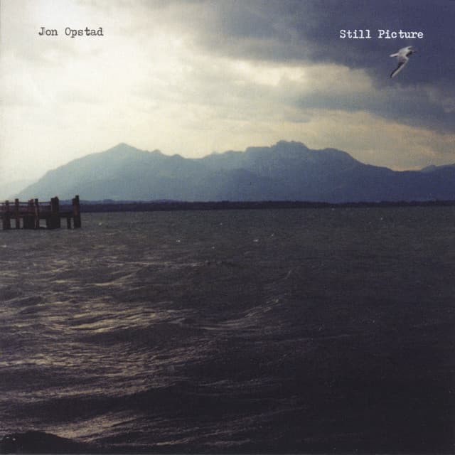 Still Picture - Jon Opstad