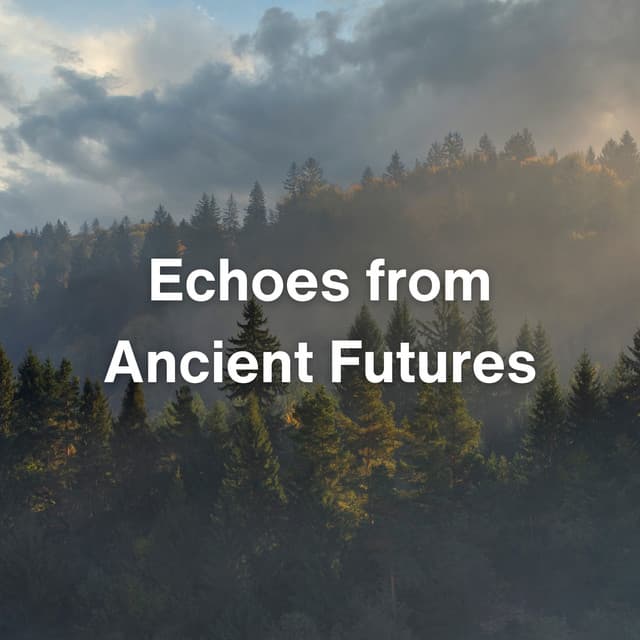 Echoes from Ancient Futures - Transcendental Meditation