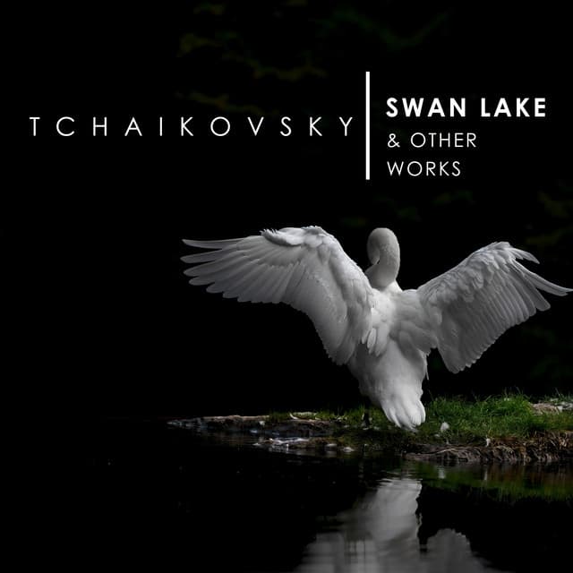 'Swan Lake' and other works by Tchaikovsky - Pyotr Ilyich Tchaikovsky