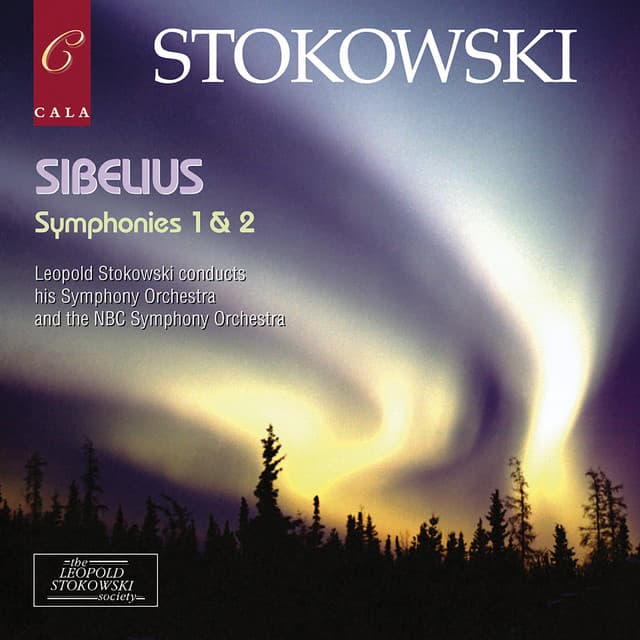 Sibelius: Symphony No. 1 in E Minor & Symphony No. 2 in D Major - Jean Sibelius