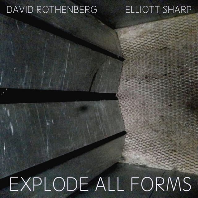 Explode All Forms - David Rothenberg