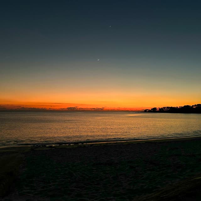 50 Ambient Echoes: Driftwood Dreams - Seascapers