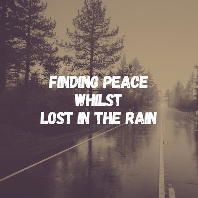 Finding Peace Whilst Lost in the Rain - Rain Storm Sample Library