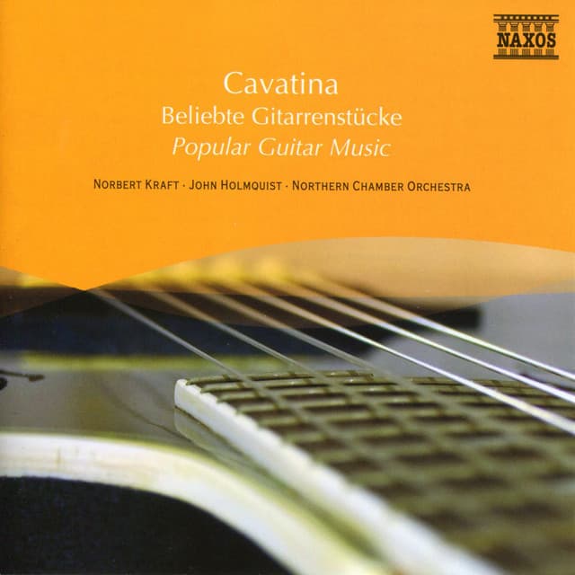 Popular Guitar Music - Norbert Kraft