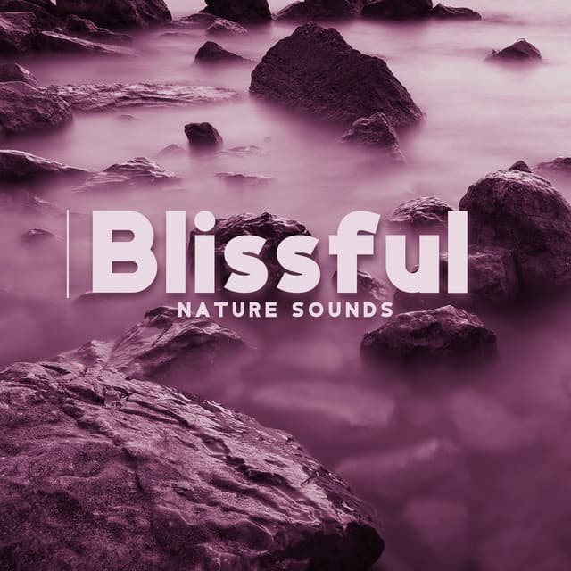 Blissful Nature Sounds with Meditation Instruments to De-stress, Restore Energy and Find Balance - Relaxation Area