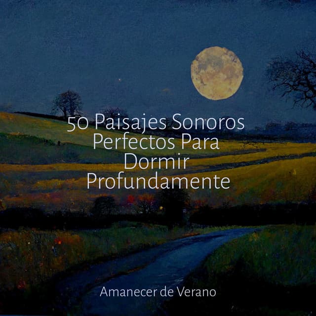 50 Paisajes Sonoros Perfectos Para Dormir Profundamente - CANCIONES DE CUNA