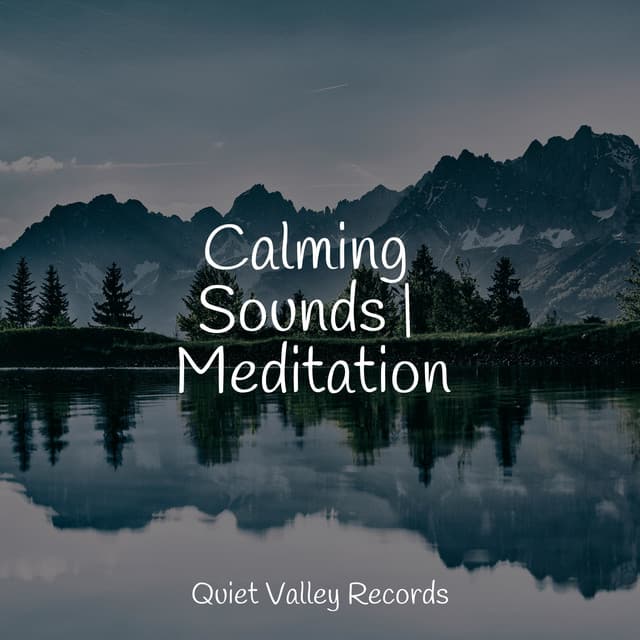 Calming Sounds | Meditation - Reiki Music