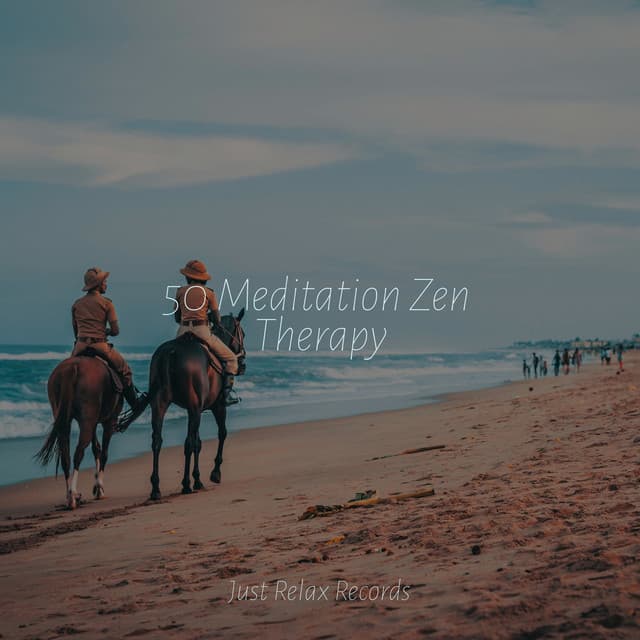 50 Meditation Zen Therapy - Relaxamento