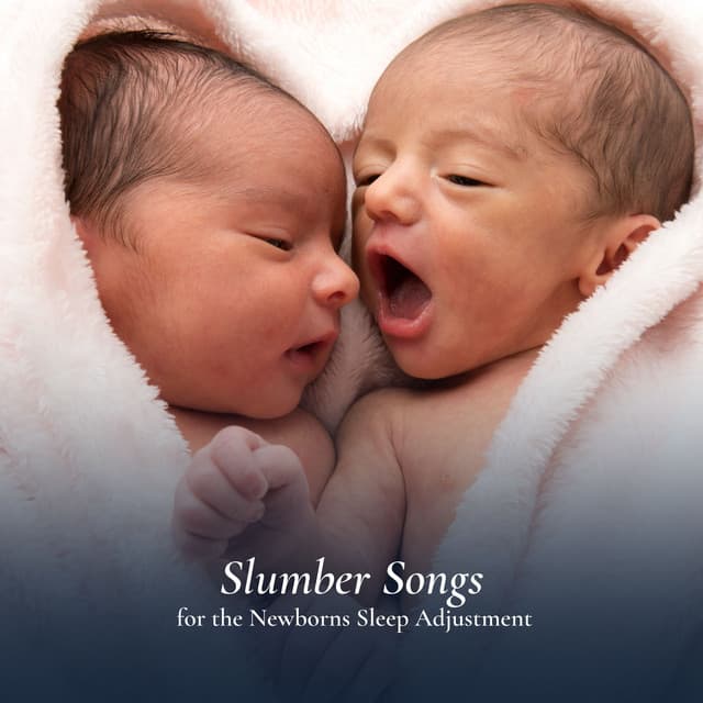 Slumber Songs for the Newborns Sleep Adjustment - Musica para Bebes