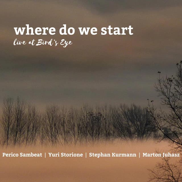 Where Do We Start Live at Bird's Eye - Yuri Storione