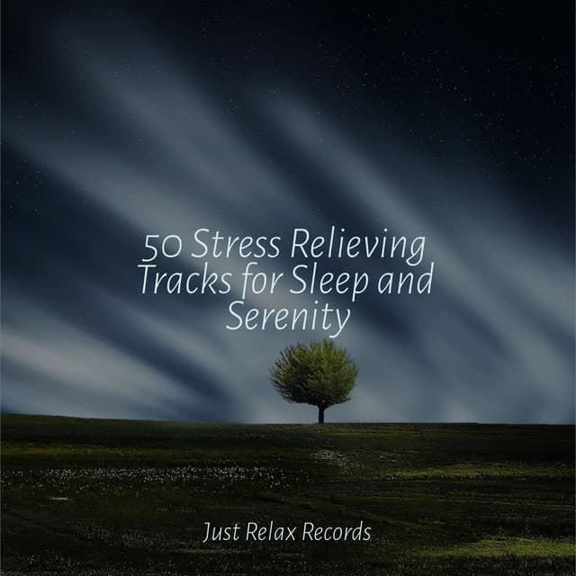 50 Stress Relieving Tracks for Sleep and Serenity - Sonido Del Bosque y Naturaleza