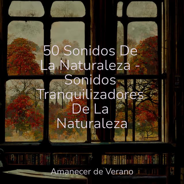 50 Sonidos De La Naturaleza - Sonidos Tranquilizadores De La Naturaleza - Musica para Meditar