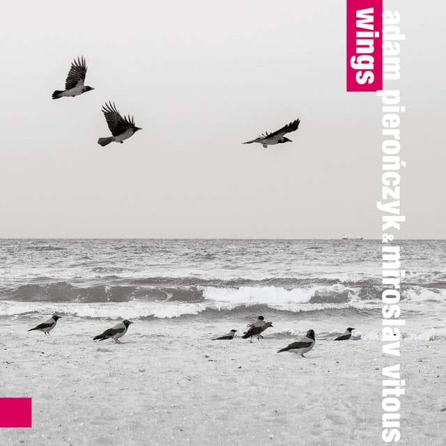 Wings - Adam Pieronczyk