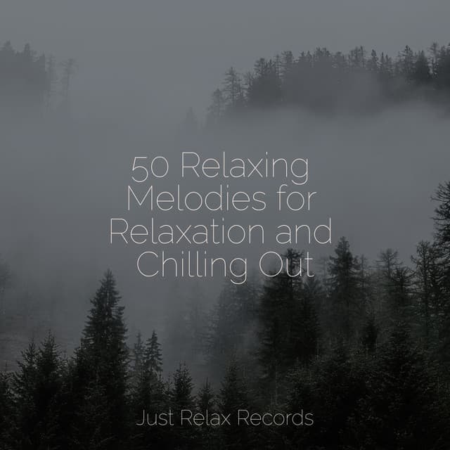 50 Relaxing Melodies for Relaxation and Chilling Out - Música Relajante para Bebés