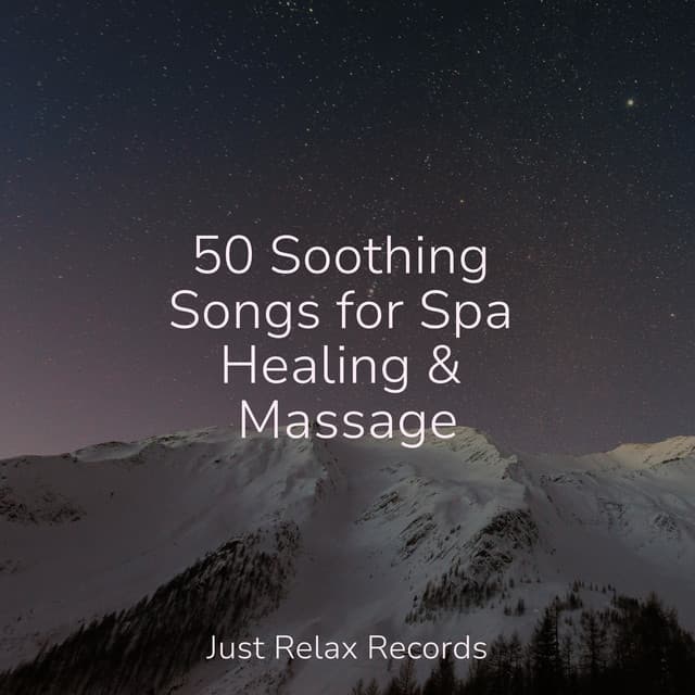 50 Soothing Songs for Spa Healing & Massage - Meditación Guiada