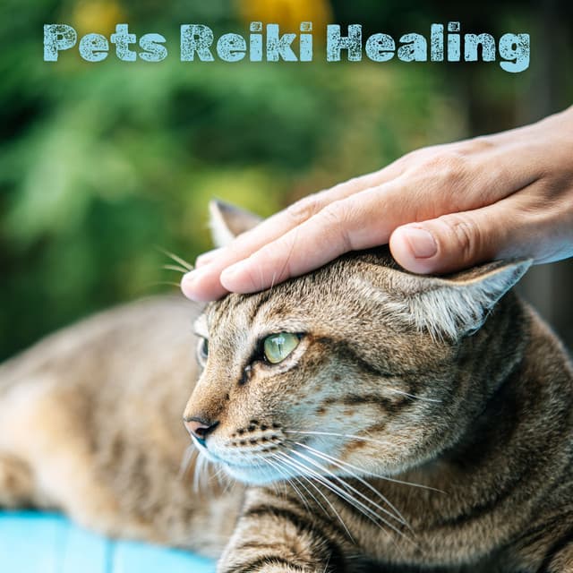 Pets Reiki Healing: Healing Dogs & Cats with Sound Music - Pet Relax Academy