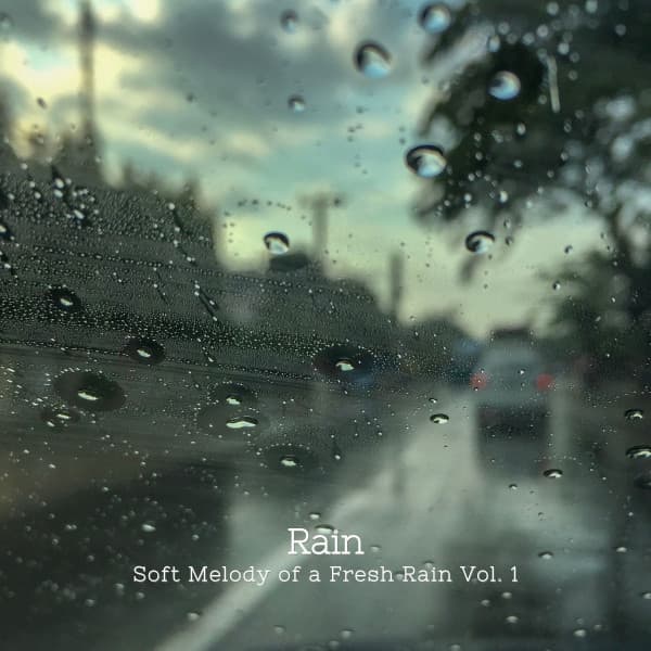 Rain: Soft Melody of a Fresh Rain Vol. 1 - The Rainforest Collective