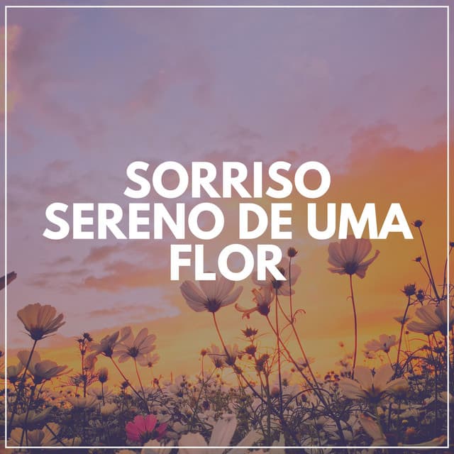 Sorriso Sereno de uma Flor - Ruído Ambiente