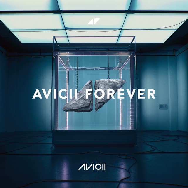 Avicii Forever