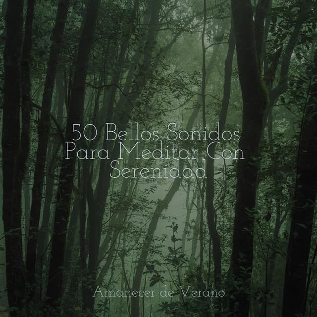 50 Bellos Sonidos Para Meditar Con Serenidad - Musica Reiki