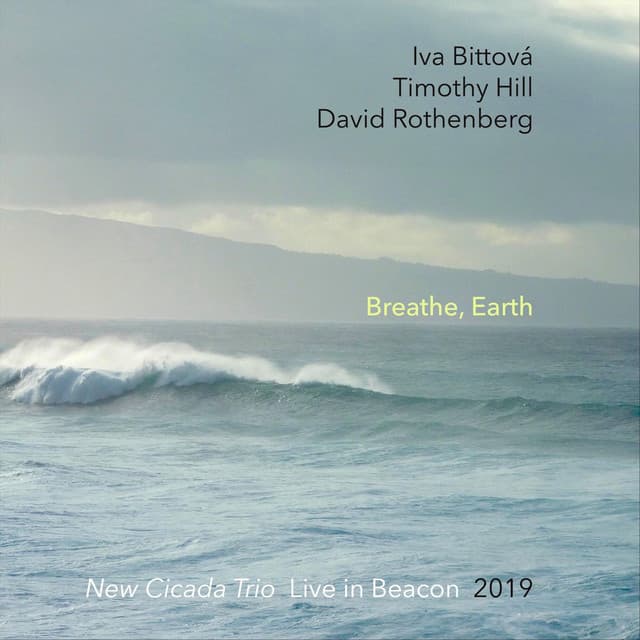 Breathe, Earth: New Cicada Trio Live in Beacon 2019 - Iva Bittová