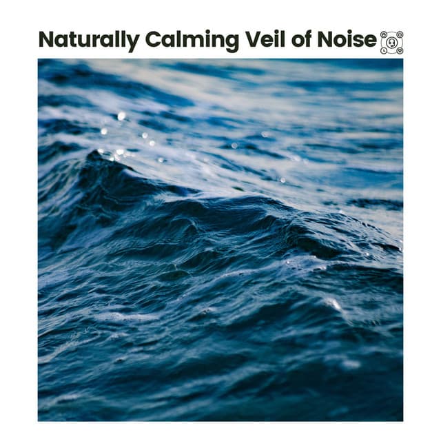Naturally Calming Veil of Noise - Relaxing Ocean Sounds