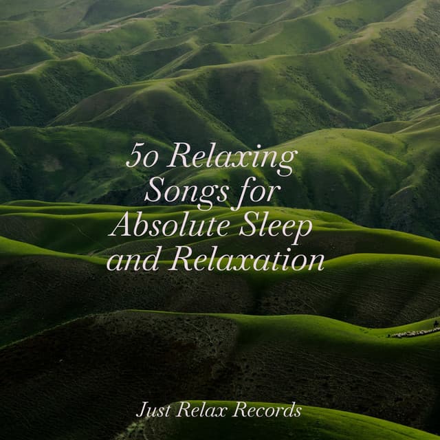 50 Relaxing Songs for Absolute Sleep and Relaxation - Meditación Guiada