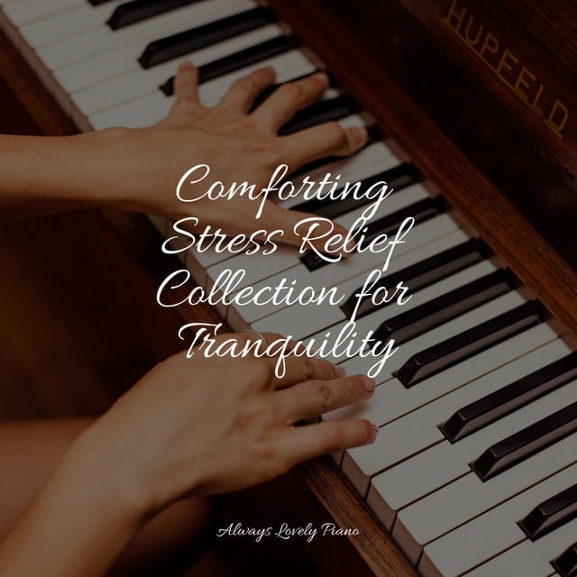 50 Tranquil Piano Songs For Your Mind - Little Magic Piano