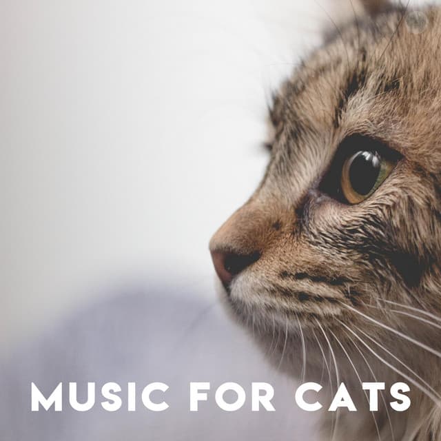 Music for Pets Library