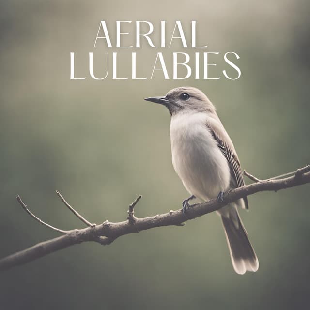 Aerial Lullabies: Relaxing Birdsong Music to Soothe the Soul - Garden of Zen Music