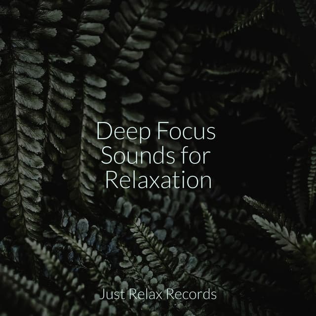 Deep Focus Sounds for Relaxation - Spa