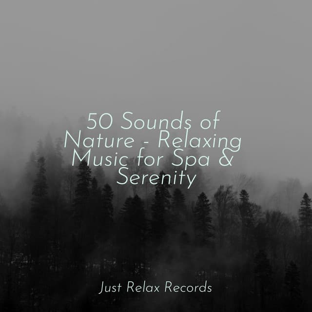 50 Sounds of Nature - Relaxing Music for Spa & Serenity - Música ambiental relajante