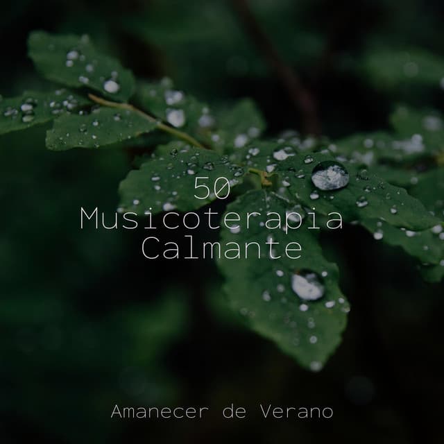 50 Musicoterapia Calmante - Meditación Guiada