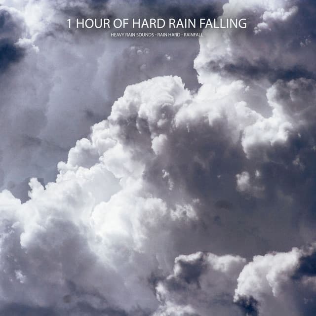 1 Hour of Hard Rain Falling - Heavy Rain Sounds