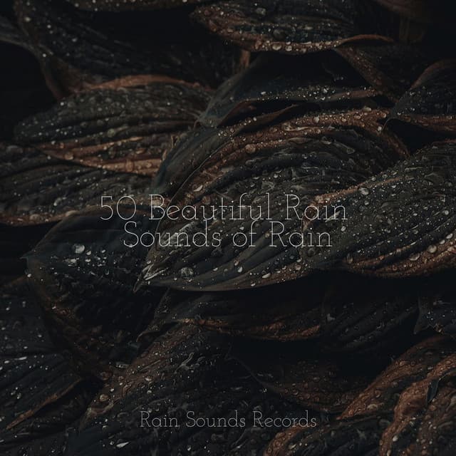 50 Beautiful Rain Sounds of Rain - Lightning, Thunder and Rain Storm