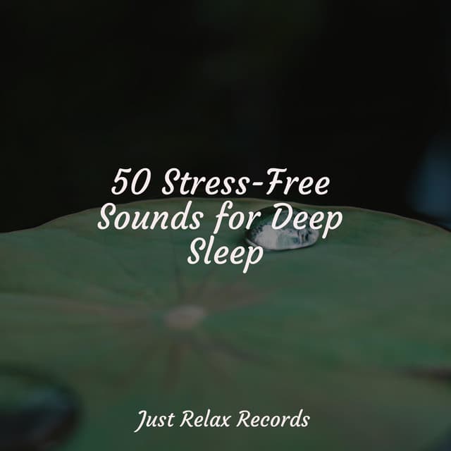 50 Stress-Free Sounds for Deep Sleep - Spa