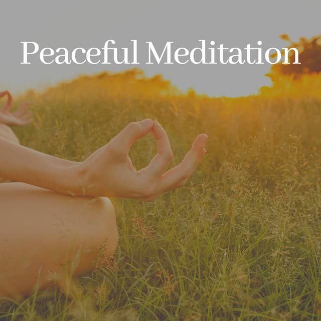 Peaceful Meditation - Meditations for Peace