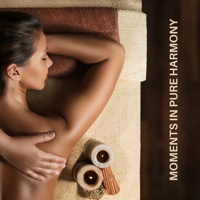 Moments in Pure Harmony - Sauna Relax Music Rec