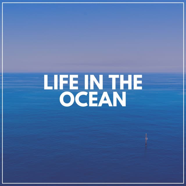 Life in the Ocean - Tailormade Ocean Waves