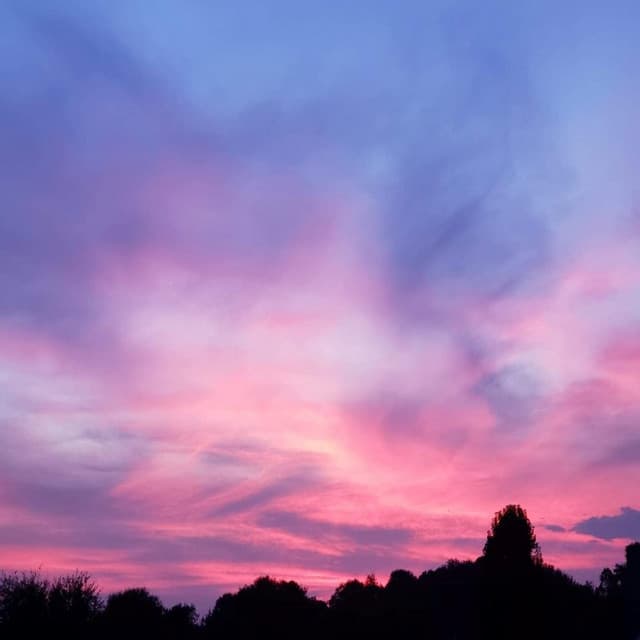 Soothing Brown Waves - Sleep Playlist