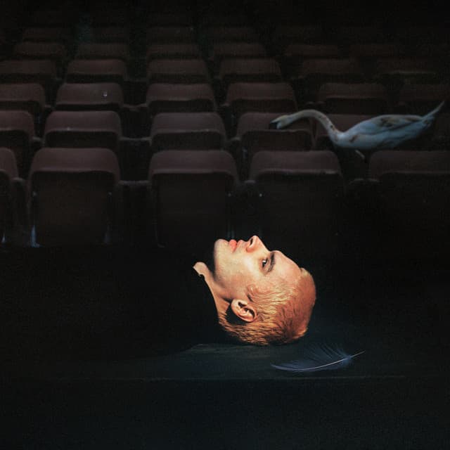 Dennis - Sega Bodega