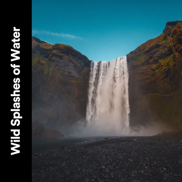 Wild Splashes of Water - The Water Sleepers