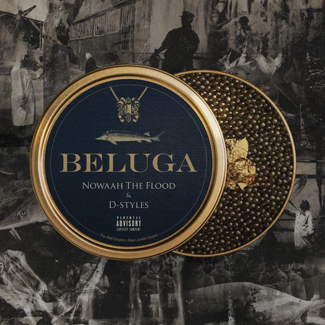 BELUGA - Nowaah The Flood