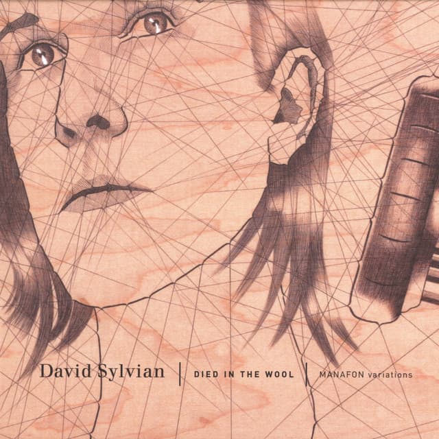 Died In The Wool - Manafon Variations - David Sylvian